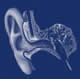 avatar_ear