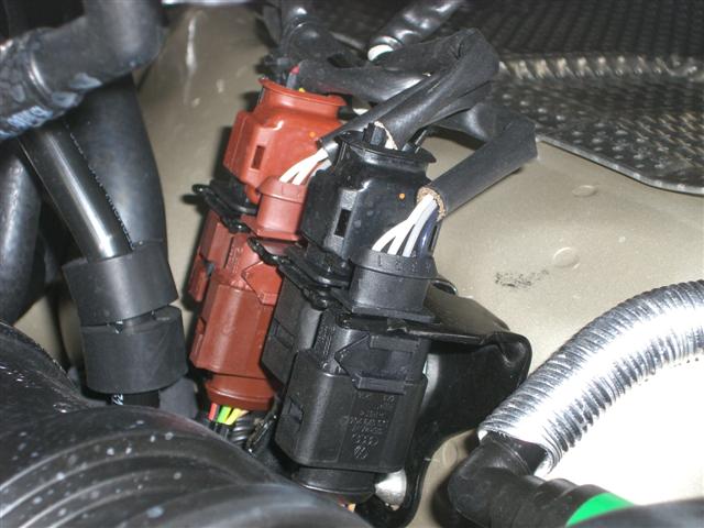 CIMG5347