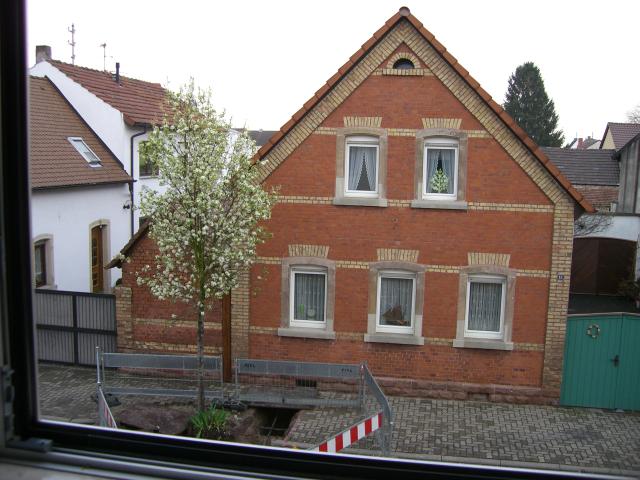 CIMG0413