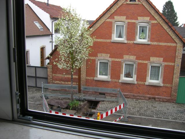 CIMG0414