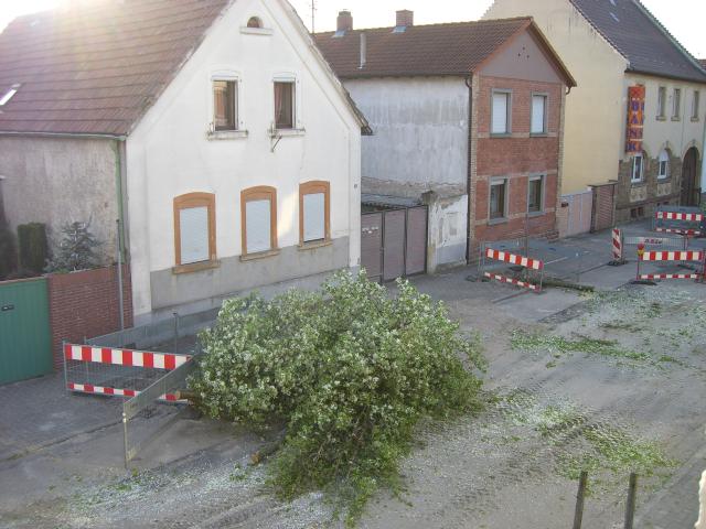 CIMG0465