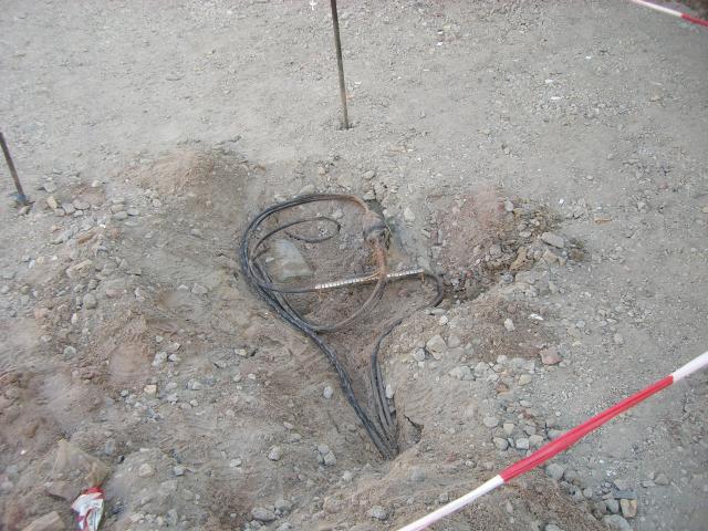 CIMG1130