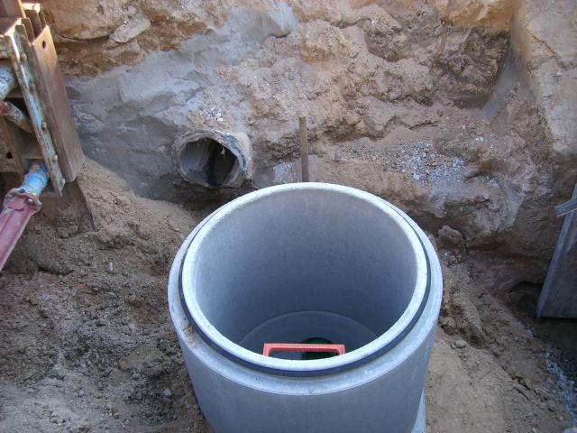 CIMG1146