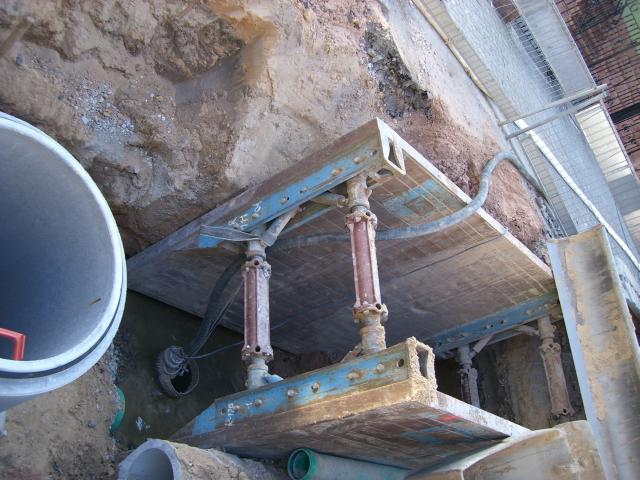 CIMG1147
