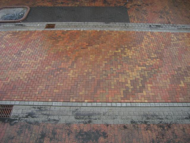 CIMG1467