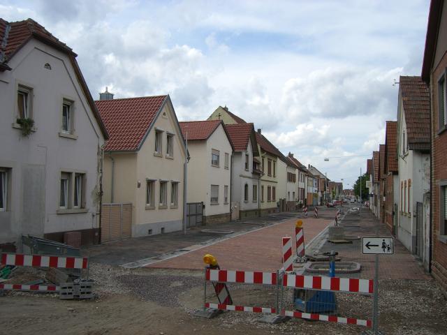 CIMG1481