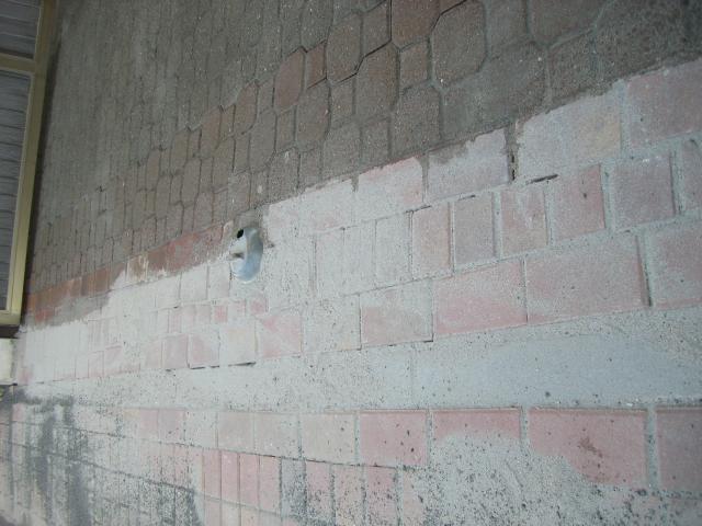 CIMG1557