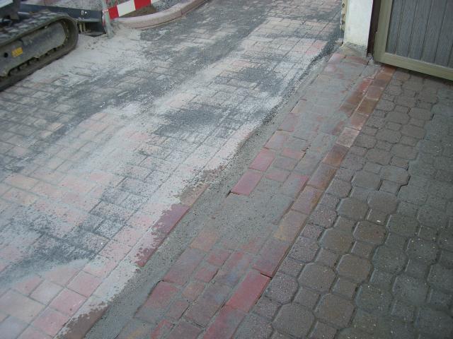 CIMG1559