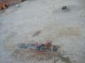 CIMG1179