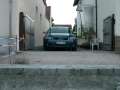 CIMG1281