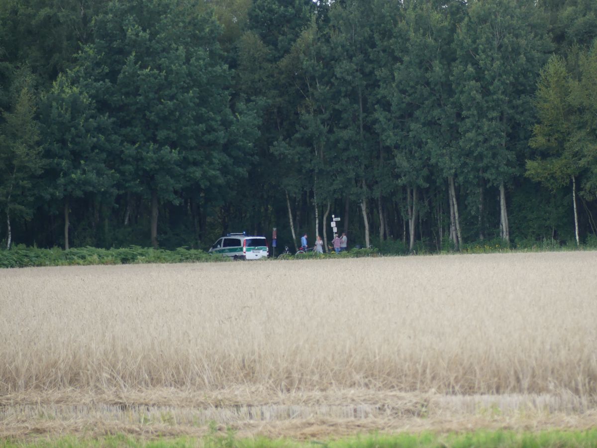 P1000019