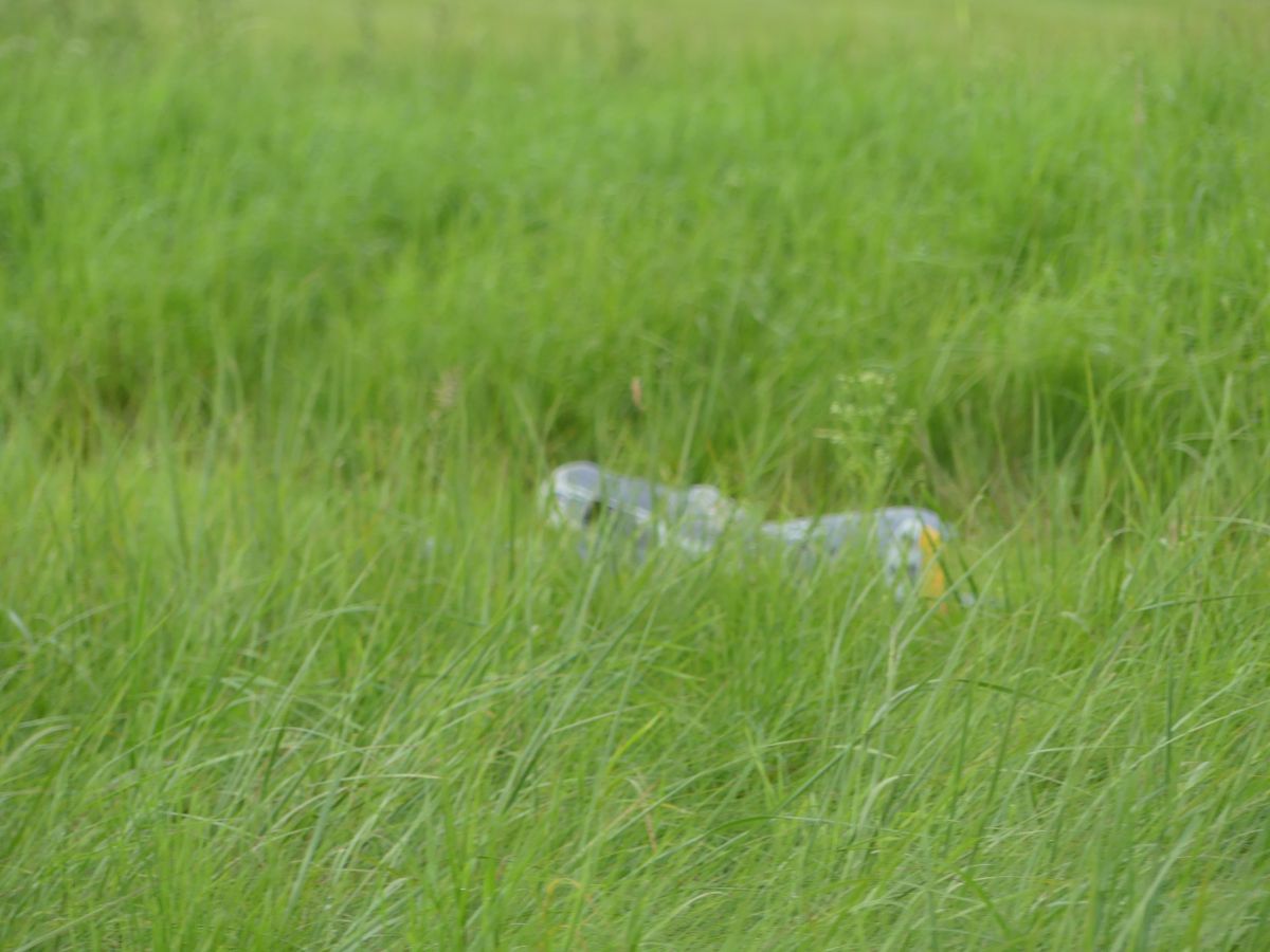 P1000041