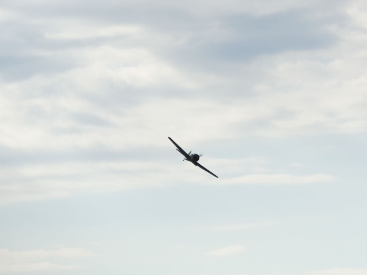 P1000042