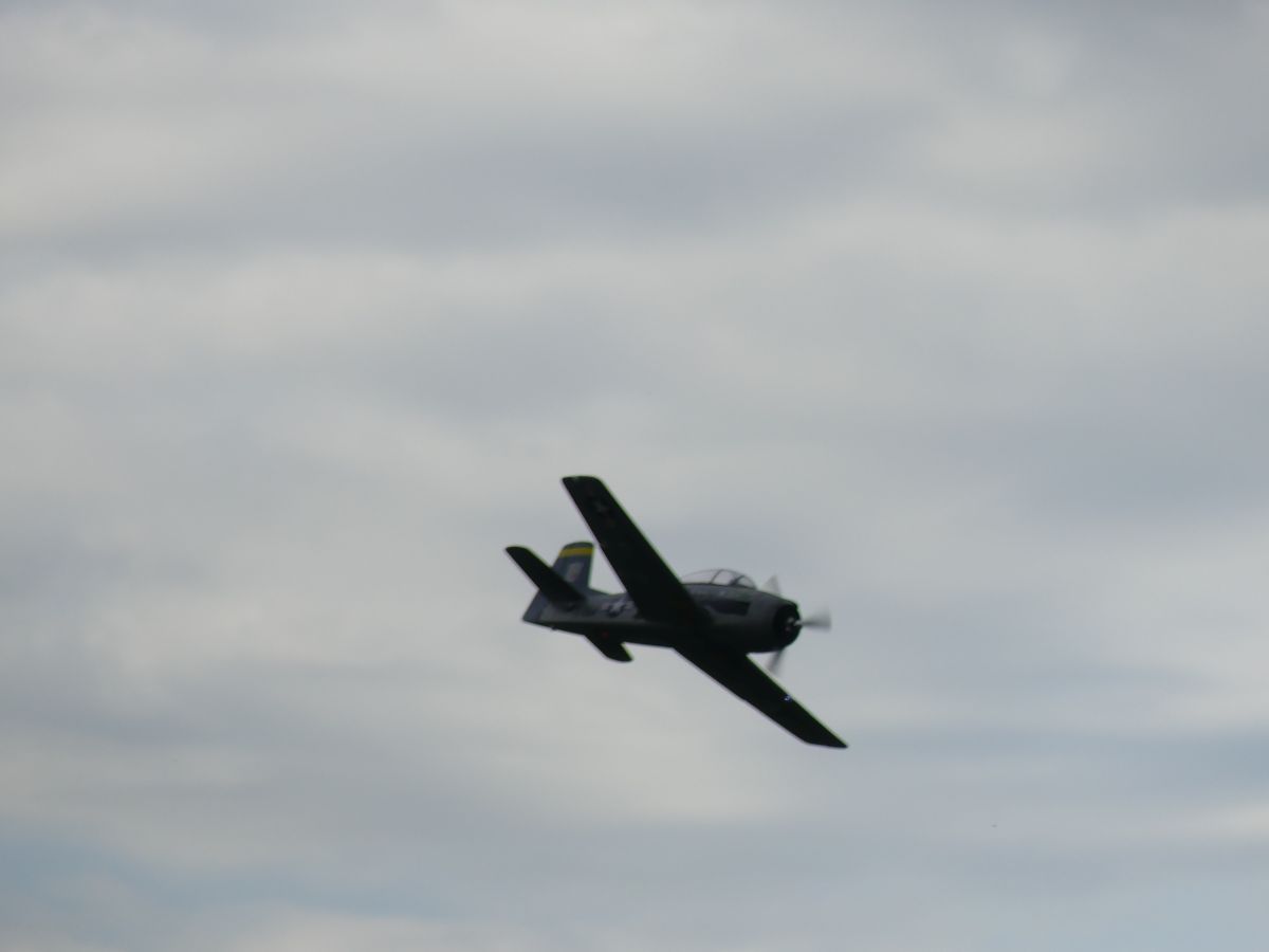 P1000045