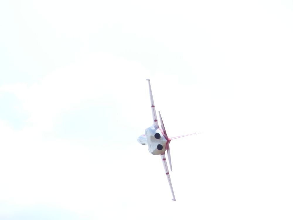 P1020821