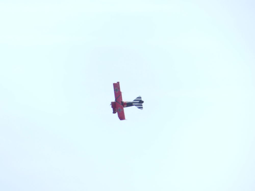 P1020842