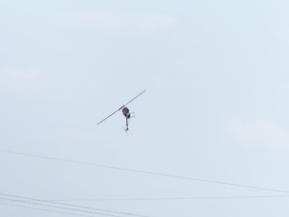 P1030018