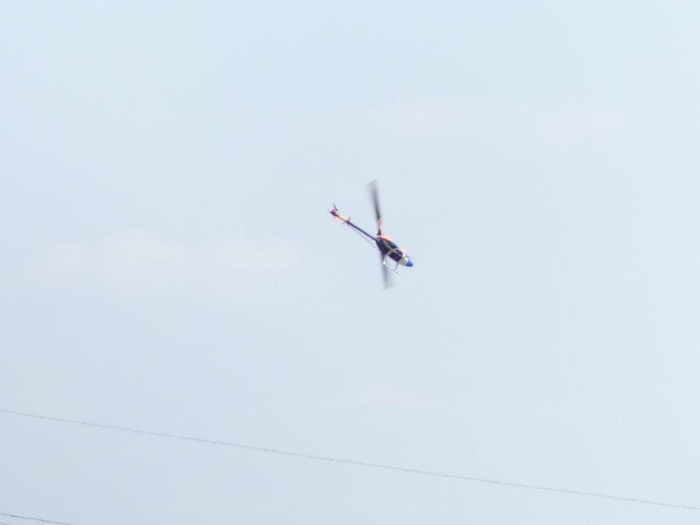 P1030019