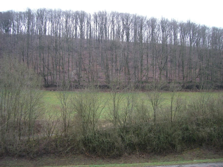 CIMG0267