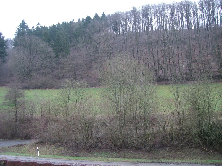 CIMG0268