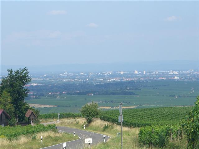 CIMG5591