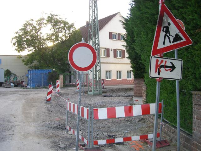 CIMG2313
