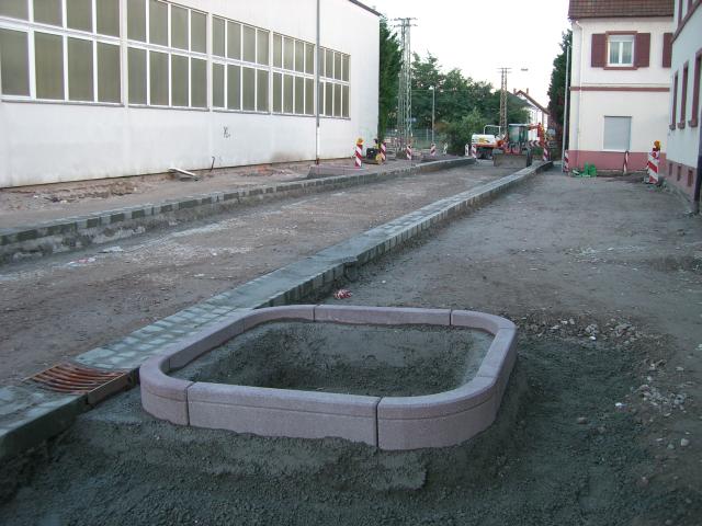 CIMG2551