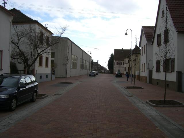 CIMG2998