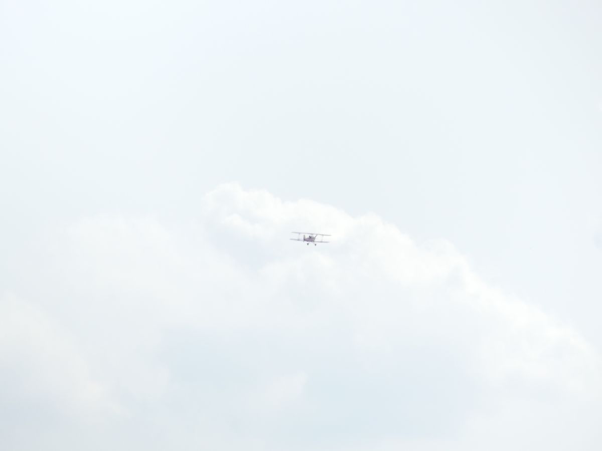 P1000289