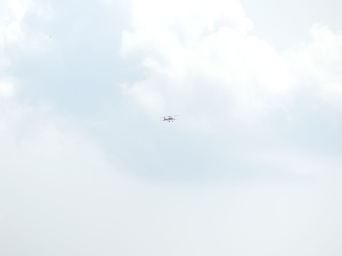 P1000290