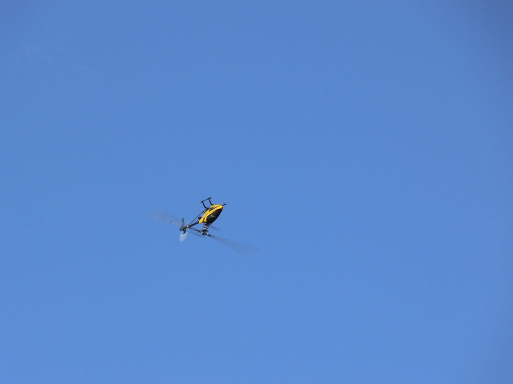A3q-Flugtreffen 2010