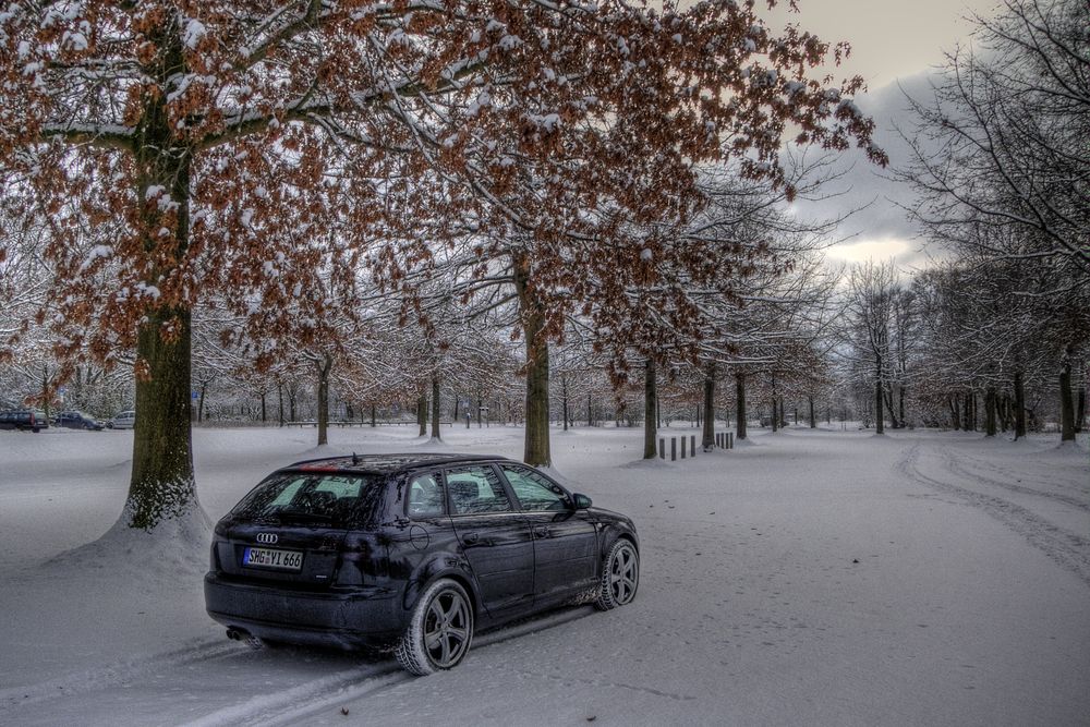 Winter