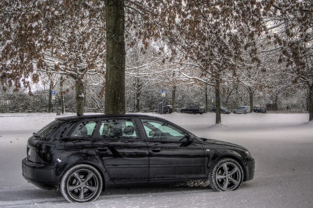 Winter