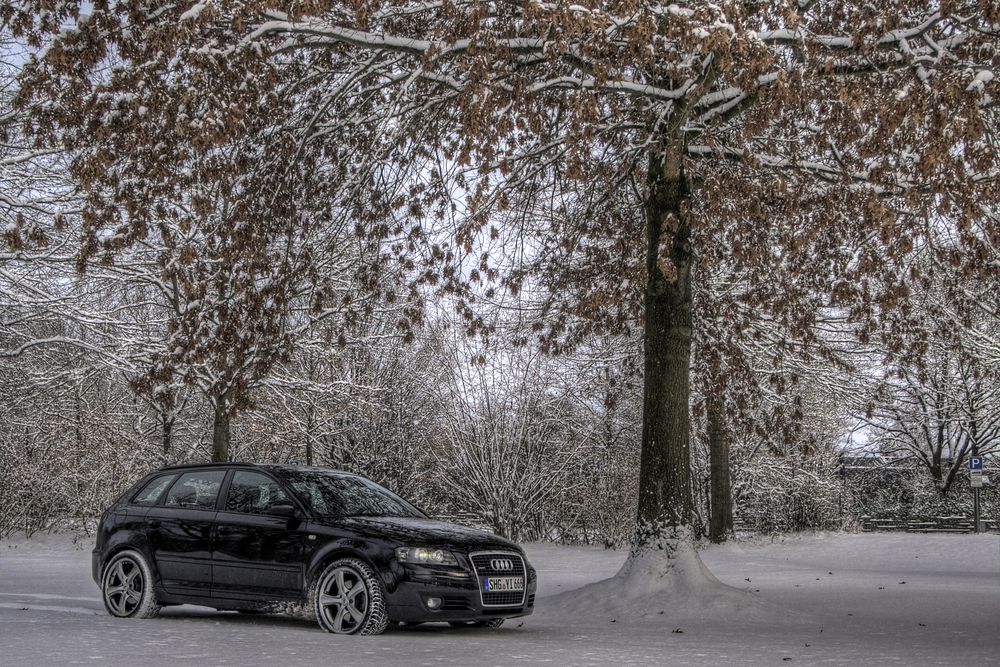 Winter
