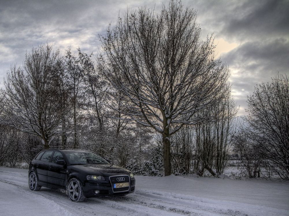 Winter