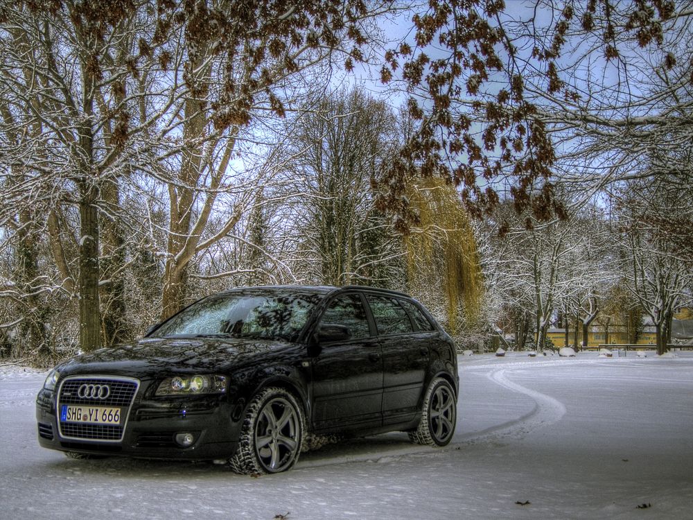 Winter