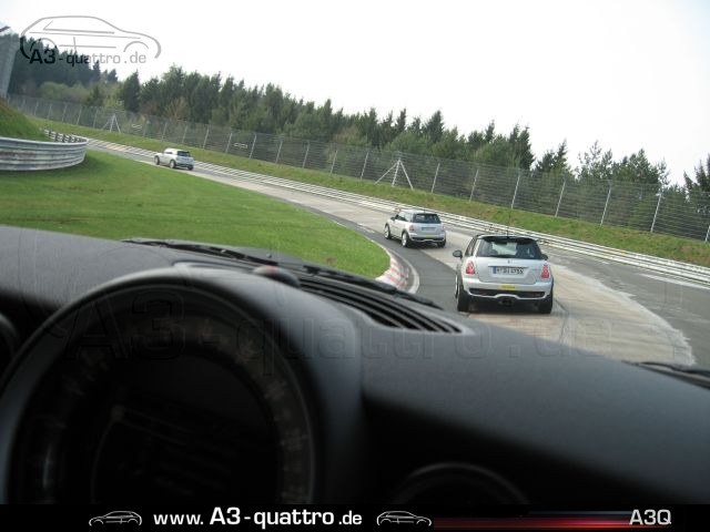 07_Schwalbenschwanz