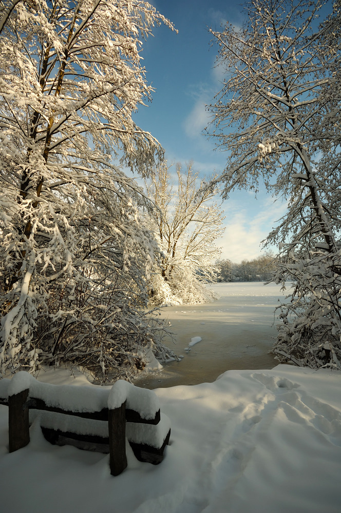 winter-2010-2
