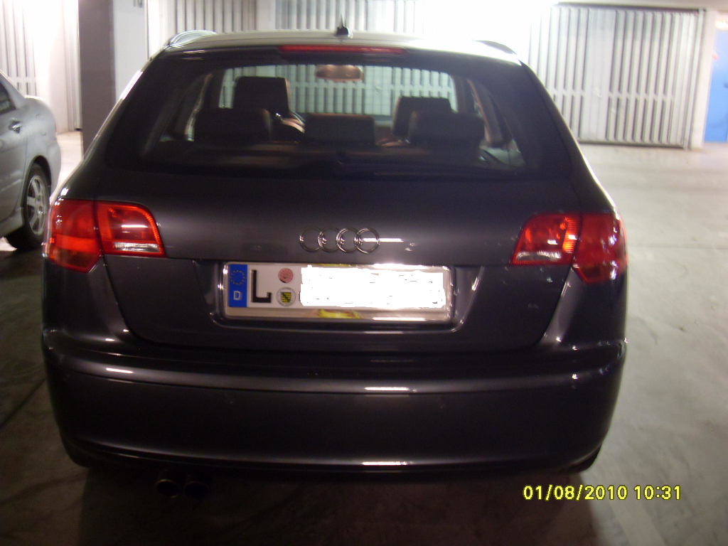 SDC12544