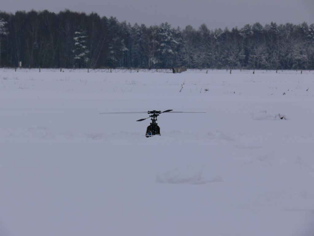 Schneefliegen am 02.01.2010