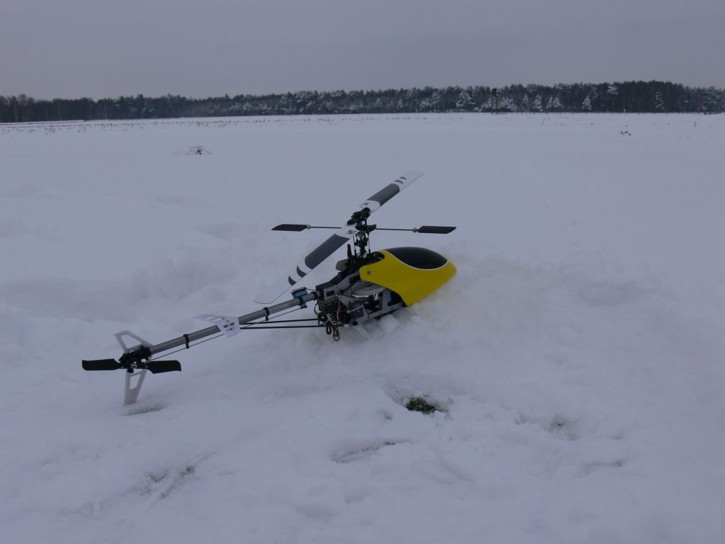 Schneefliegen am 02.01.2010