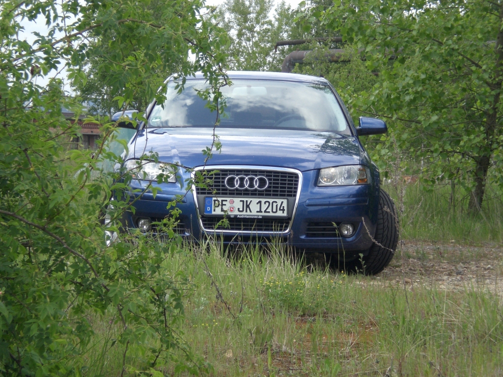 CIMG5300