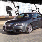 dsc00039web