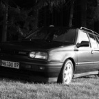 IMG_8116