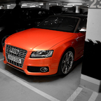 CSC_0304