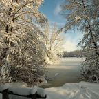 winter-2010-2