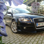 25072009024_klein