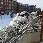 Schneefliegen am 02.01.2010