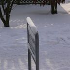 Schneefliegen am 02.01.2010