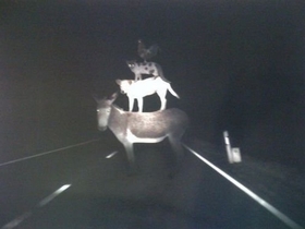 Neulich auf der Autobahn......